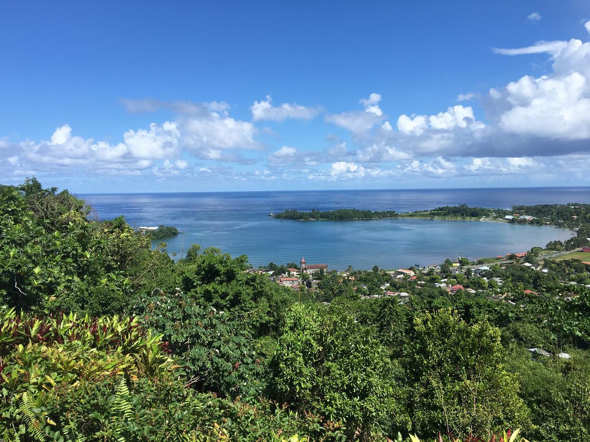 Treetops Villa Port Antonio Dış mekan fotoğraf