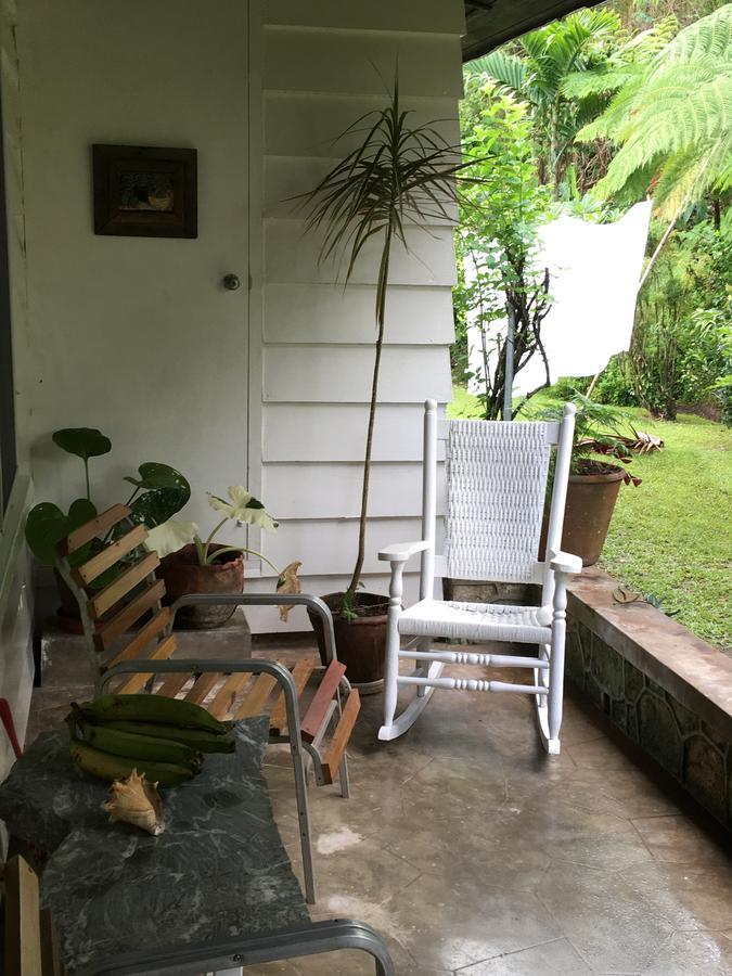 Treetops Villa Port Antonio Dış mekan fotoğraf